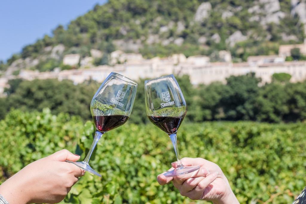 Hotellerie Du Domaine De Cabasse Seguret Luaran gambar